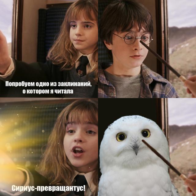 35b8ca9b7c7d2191c9e38eb2d6f0361b.jpeg