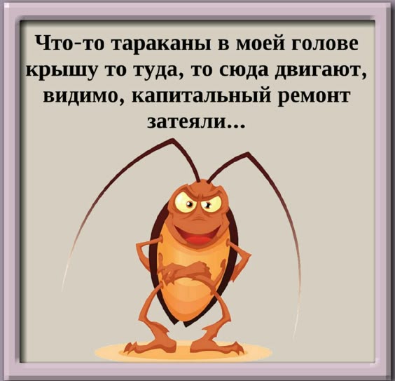 1129e12ec4ae8e3e26d30ef7c230c424.jpg