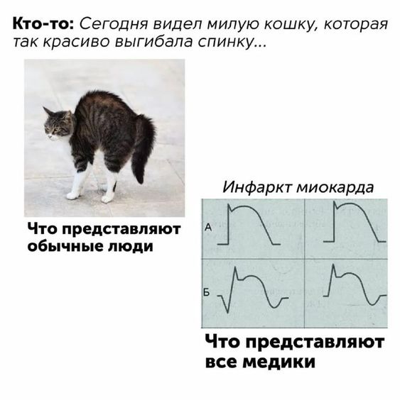 781cdb7c0c4ded5f48dfa110c5517efb.jpg