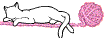 animal 6