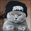 cat 2