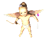 angel 6