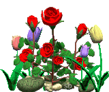 flowers 5