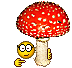 mushrooms 1